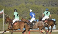 法国七人制橄榄球队伍保持高水平竞争力，法国top14橄榄球联赛